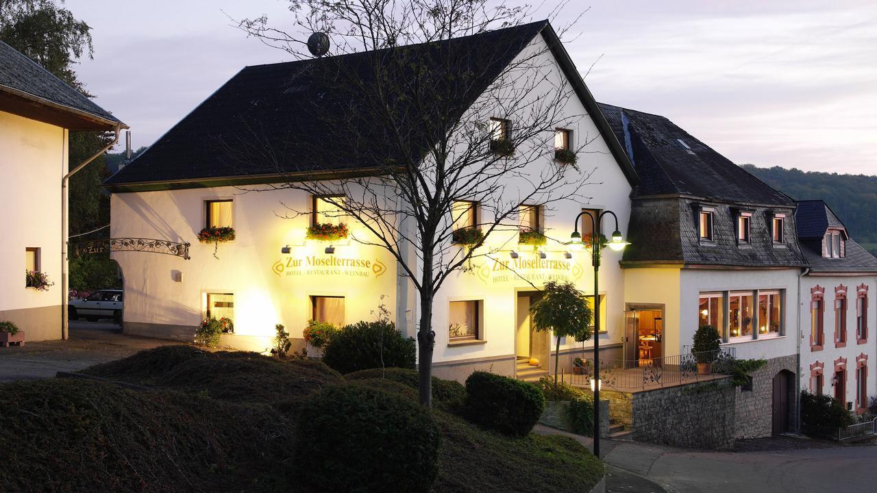 Hotel "Zur Moselterrasse" Palzem エクステリア 写真
