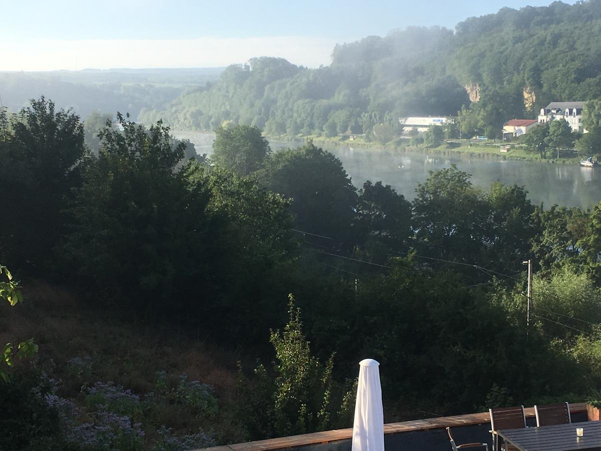 Hotel "Zur Moselterrasse" Palzem エクステリア 写真