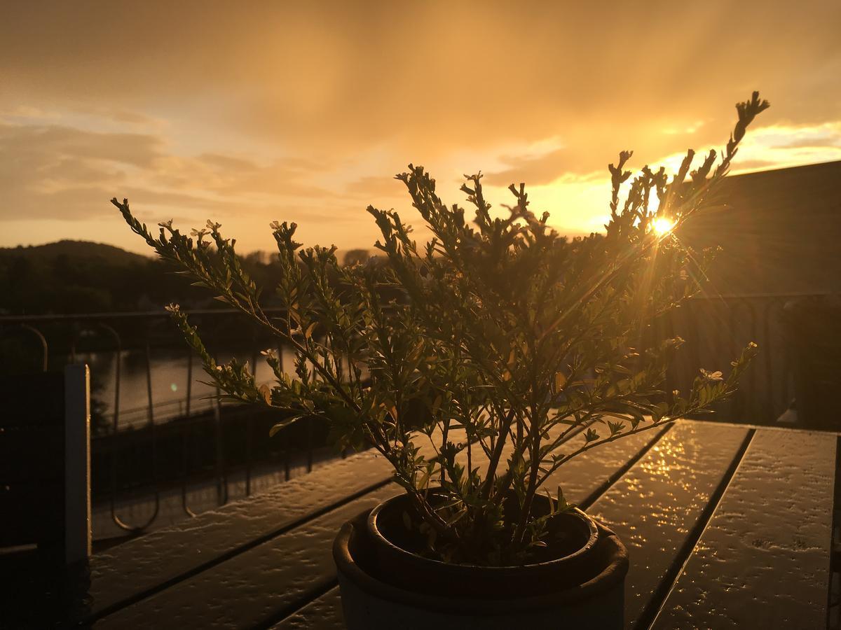 Hotel "Zur Moselterrasse" Palzem エクステリア 写真