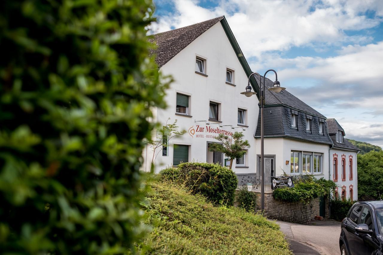 Hotel "Zur Moselterrasse" Palzem エクステリア 写真