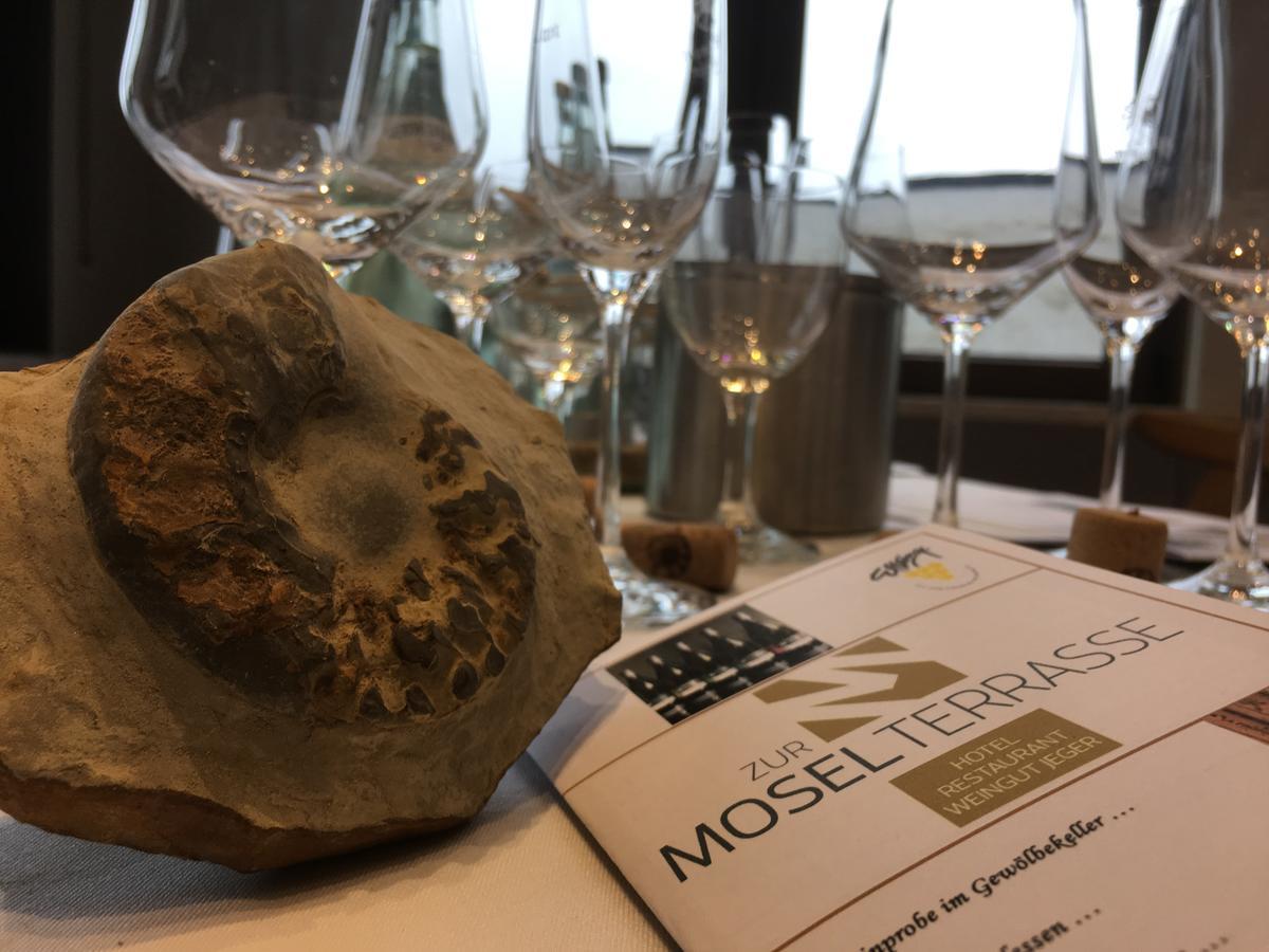 Hotel "Zur Moselterrasse" Palzem エクステリア 写真